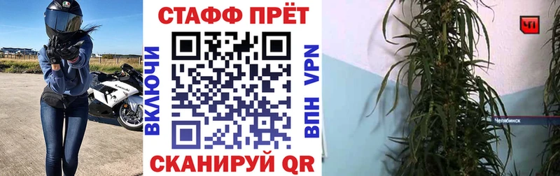 Где найти наркотики Можга COCAIN Канабис КЕТАМИН Галлюциногенные грибы ГАШИШ МЕГА ссылка Меф Бутират Alpha PVP