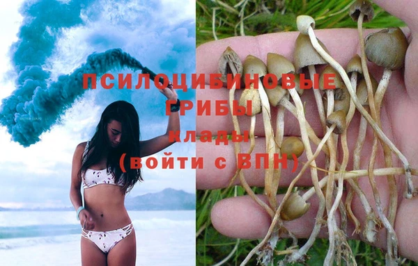 кокаин Дмитров