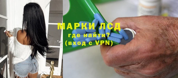 шишки Гусь-Хрустальный