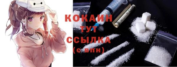 прущие крисы Гусев