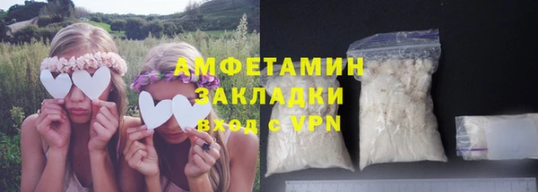 шишки Гусь-Хрустальный