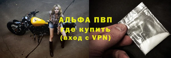 шишки Гусь-Хрустальный