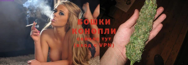 прущие крисы Гусев