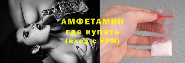 шишки Гусь-Хрустальный