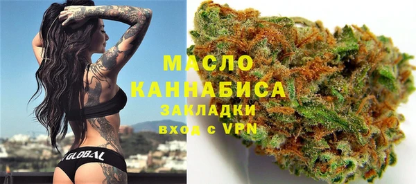 шишки Гусь-Хрустальный