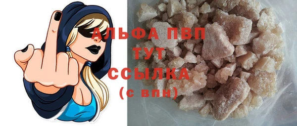 шишки Гусь-Хрустальный