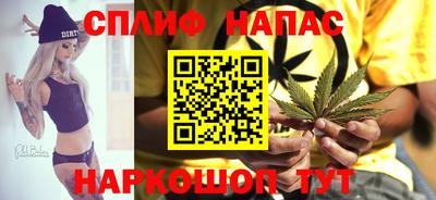 шишки Кимры