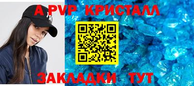шишки Кимры