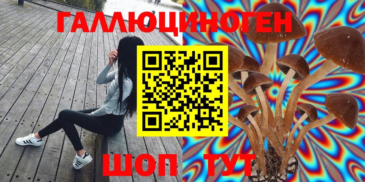 Галлюциногенные грибы мицелий  Можга 