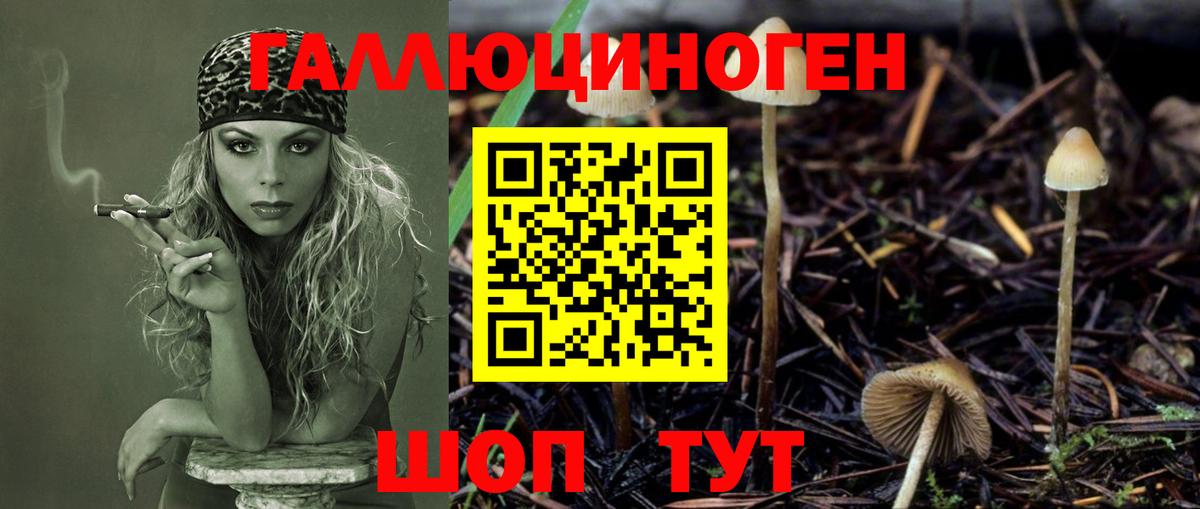 Можга  Галлюциногенные грибы прущие грибы  Вход с VPN 
