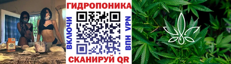 продажа наркотиков Можга Шишки марихуана White Widow